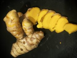 Kandungan Temulawak: Manfaat dan Cara Mengolahnya