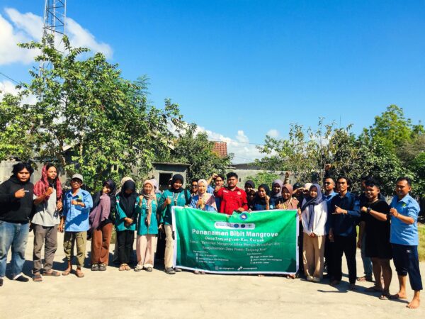 Mahasiswa KKN XXXII Universitas NW Mataram Tanam Ratusan Mangrove di Desa Tanjung Luar