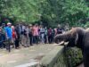 Kebun Binatang Wildlife Park Lombok Utara Jadi Sarana Edukasi dan Hiburan untuk Pelajar