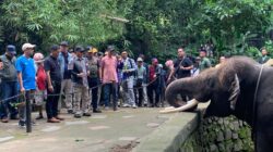 Kebun Binatang Wildlife Park Lombok Utara Jadi Sarana Edukasi dan Hiburan untuk Pelajar