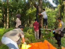 Geger, Pria Ditemukan Tergantung di Pohon Mangga Lombok Utara
