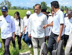 Revitalisasi Irigasi Lama Dampak Nyata di NTB: Petani Panen Tiga Kali Setahun Berkat Program Oplah
