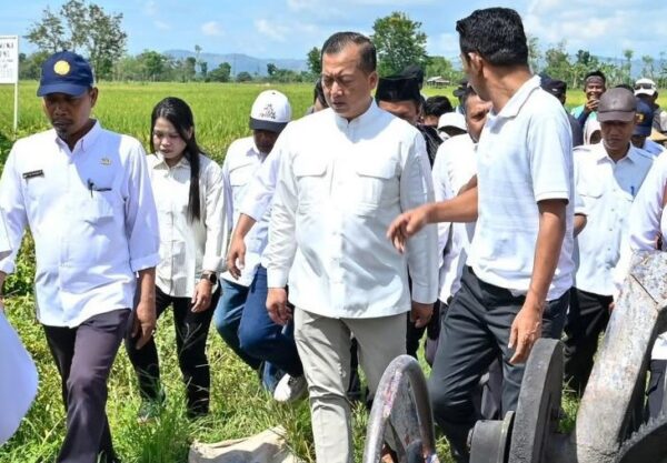 Revitalisasi Irigasi Lama Dampak Nyata di NTB: Petani Panen Tiga Kali Setahun Berkat Program Oplah
