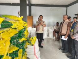 Oplos Beras SPHP ke Karung Polos, Satgas Saber Pangan NTB Amankan Seorang Pria di Lombok Barat