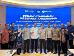 Investasi Jumbo Rp1,2 Triliun Masuk Sumbawa, Miq Iqbal & ID FOOD Bangun ‘Raksasa’ Industri Ayam Terintegrasi