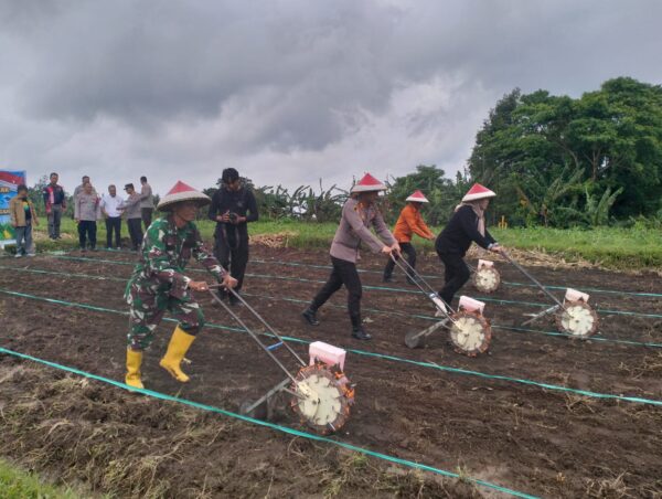 Polri Turun ke Sawah! Kapolres KLU Pimpin Penanaman Jagung Serentak di Kayangan demi Swasembada Pangan