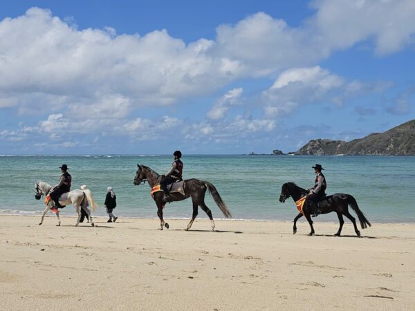 Wajah Baru Tanjung Aan Mandalika: Patroli K-9 dan Pasukan Berkuda Siap Kawal Wisatawan!
