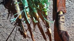 Belasan Orang Tak Dikenal Brutal Serang Remaja di Simpang 4 Arum Jaya: Pisau dan Panah Disita