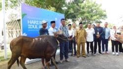 Perkuat Kemitraan, ITDC Salurkan Hewan Kurban untuk Desa Penyangga Mandalika dan Pemprov NTB
