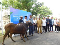 Perkuat Kemitraan, ITDC Salurkan Hewan Kurban untuk Desa Penyangga Mandalika dan Pemprov NTB