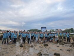 Bukan Sekadar Seremonial, Anak Usaha ITDC Tanam 250 Mangrove di Bali dan Garansi Perawatan hingga 3 Tahun