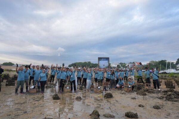 Bukan Sekadar Seremonial, Anak Usaha ITDC Tanam 250 Mangrove di Bali dan Garansi Perawatan hingga 3 Tahun