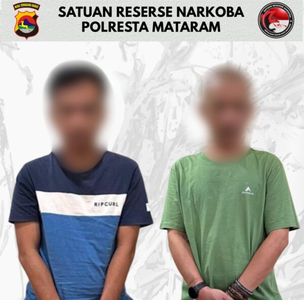 Bisnis Ganja Lintas Kecamatan Digulung! Satresnarkoba Polresta Mataram Sita 653 Gram Ganja dari Dua Pria