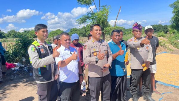 Amankan Panen Raya, Polres Lombok Utara "Suntik" Vitamin Gratis Buat Petani: Petani Sehat, Pangan Kuat