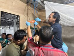 Geger! Seorang Pelajar Ditemukan Gantung Diri di Pemenang, Jejak Telepon Misterius Didalami Polres KLU