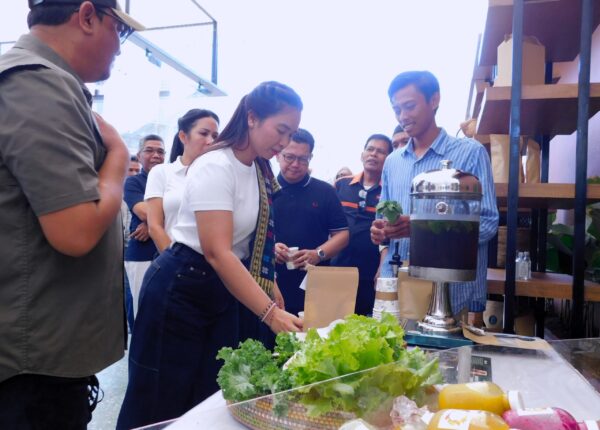 Wamenpar Ni Luh Puspa Dorong Diversifikasi Atraksi di Mandalika: Sade Social Space Jadi Role Model