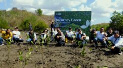 Pulihkan Ekosistem Pesisir, ITDC Tanam 4.500 Bibit Mangrove di Kawasan Sanctuary Mandalika