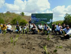 Pulihkan Ekosistem Pesisir, ITDC Tanam 4.500 Bibit Mangrove di Kawasan Sanctuary Mandalika