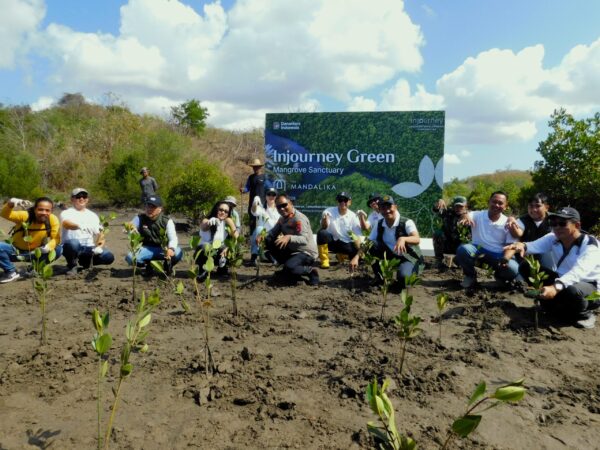 Pulihkan Ekosistem Pesisir, ITDC Tanam 4.500 Bibit Mangrove di Kawasan Sanctuary Mandalika
