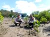 Turut Serta Tanam Mangrove Dengan ITDC, Kapolsek Mandalika: Ini Bisa Menjaga Stabilitas Kamtibmas