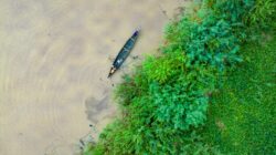 Logika yang Tenggelam di Ujung Pasang