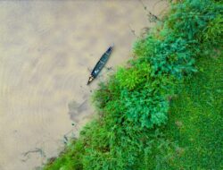 Logika yang Tenggelam di Ujung Pasang